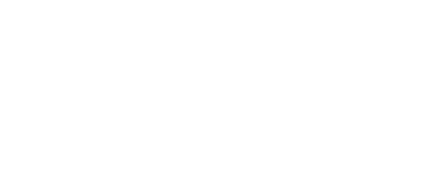 Bido partner logo