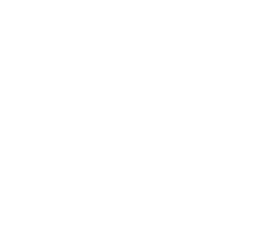 Meirav Bouganim partner logo