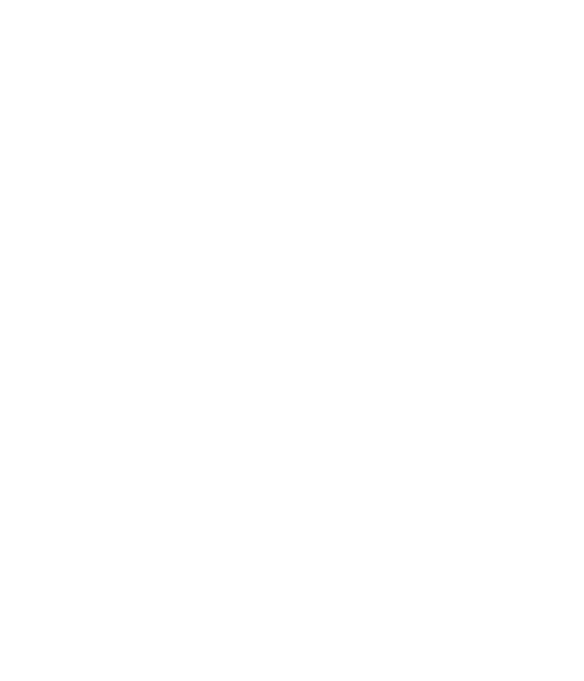 Ofir Moran partner logo