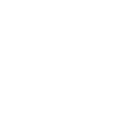 Shira Nahari partner logo