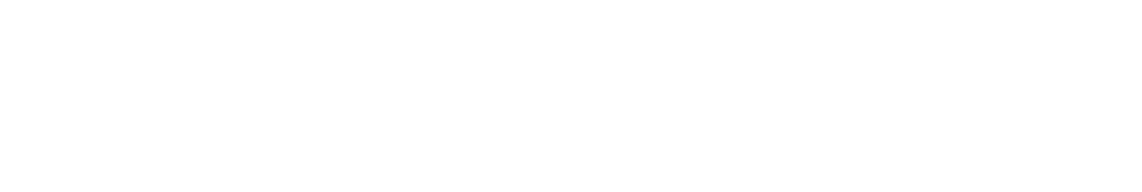 Sportal partner logo